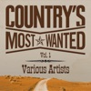 Grand Ole Country Live Vol. 1, 2011