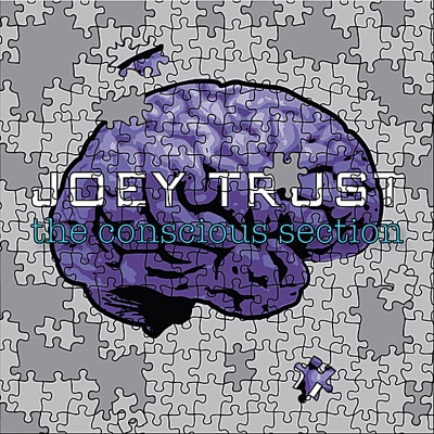 The Conscious Section