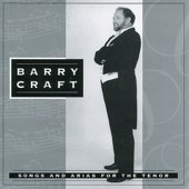 Cover art for Danny Boy - Irish Tune by Barry Craft