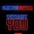 Without You (MaLu Project Remix Edit)
