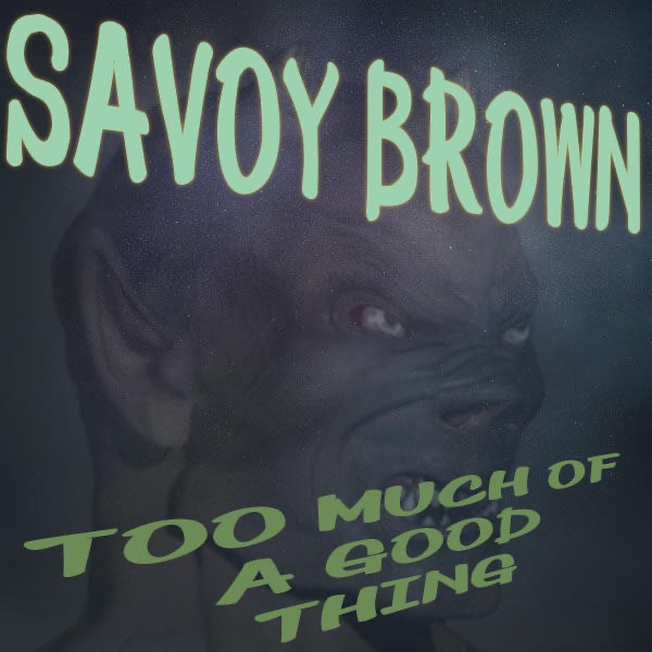 Too Much of a Good Thing cover