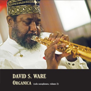Organica (Solo Saxophones), Vol. 2