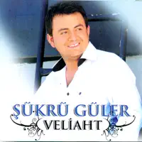 Ayrılık Acısı — Şükrü Güler