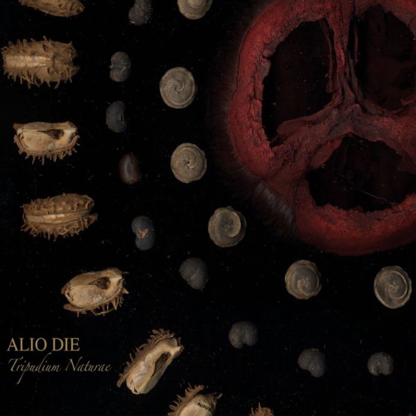 Обложка альбома «Tripudium Naturae» — Alio Die