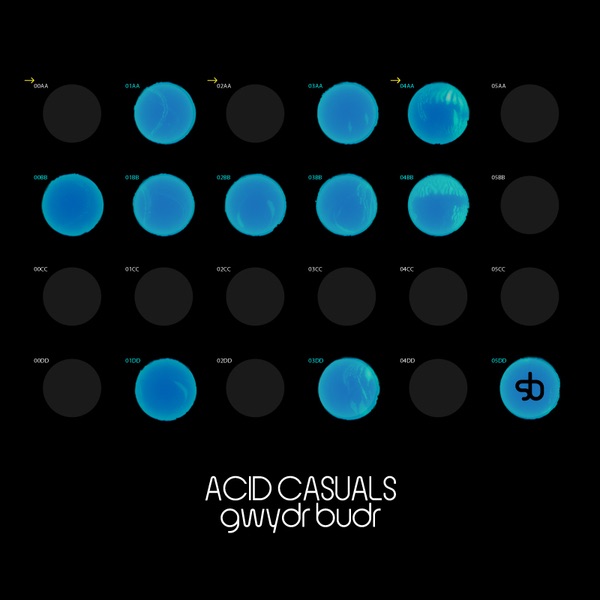 Обложка альбома «Gwydr Budr» — Acid Casuals