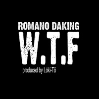 W.T.F (What the Fuck) - Single - Romano Daking