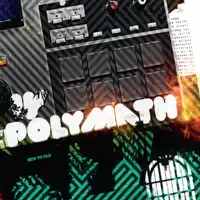 The Recipe — IV The Polymath