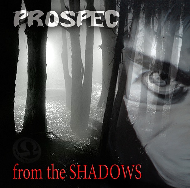 Обложка альбома «From the Shadows / Damager - Single» — Prospec