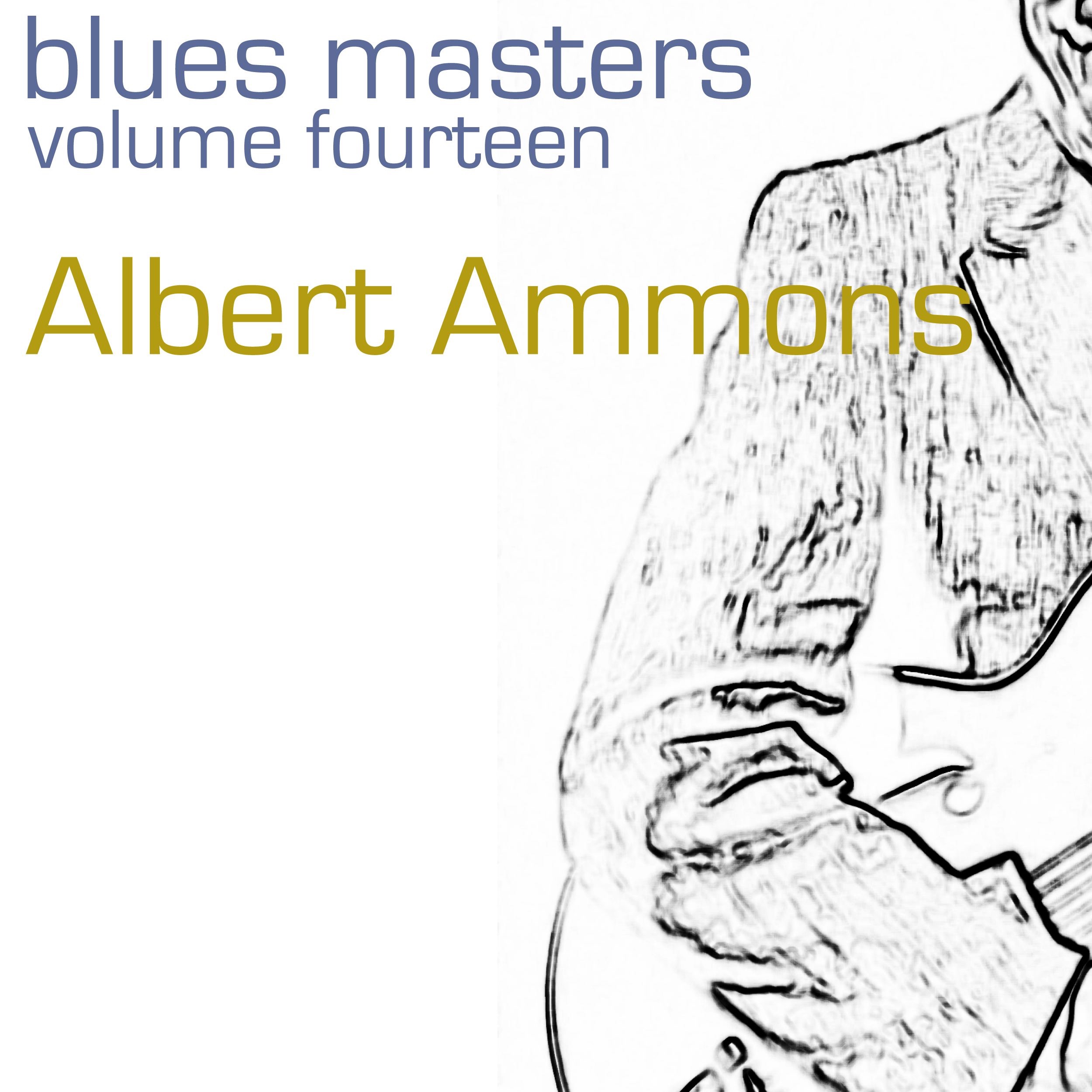 Blues Masters (Volume 14)