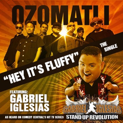 Hey It's Fluffy (feat. Gabriel Iglesias) - Single