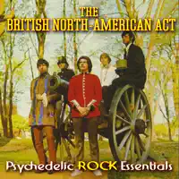 American Act - If You're Looking For Honey — The British North