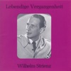 Lebendige Vergangenheit - Wilhelm Strienz