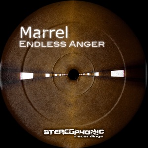 Endless Anger - Single