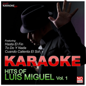 Karaoke - Hits of Luis Miguel, Vol. 1