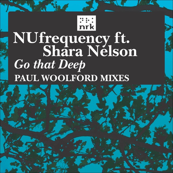 Go That Deep (Paul Woolford Remixes) [feat. Shara Nelson] - EP