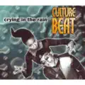Crying In The Rain