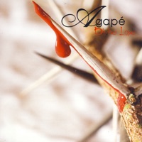 Divine Love - Agape
