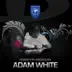 Perfecto Presents: Adam White album cover