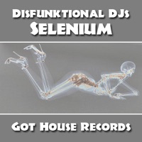 Selenium - Single - Disfunktional DJs