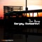 Far Away (Aurum Beats Progressive Mix) - Sergey Romashkin lyrics