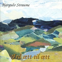 Skjoldmøyslaget