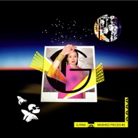 Mashed Pieces #2 - G.RINA