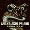 Snake Skin Prison - Rock N Roll Pain Train