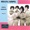 Clefs of Calvary - Baptized