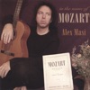 Eine kleine Nachtmusik