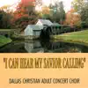 Dallas Christian Adult Concert Choir - Blest Be the Tie That Binds