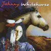 Johnny Whitehorse - Last Ride of Cochise
