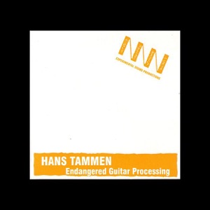 Endangered Guitar Processing