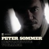 Peter Sommer - 8-6-6-0