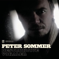 Peter Sommer - 8-6-6-0