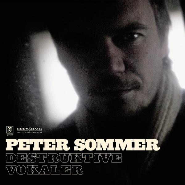 Destruktive Vokaler artwork