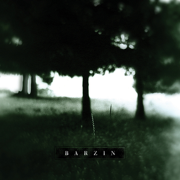 Past All Concerns - Barzin