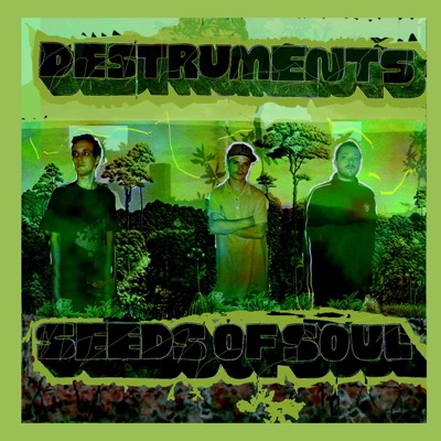 Seeds of Soul