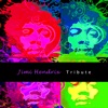 Francis Lockwood All Along The Watchtower Tribute Jimi Hendrix