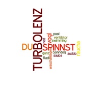 Turbolenz - Du Spinnst