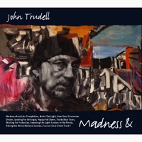 Madness and the Moremes - John Trudell