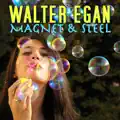 Magnet & Steel