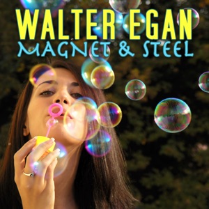 Magnet & Steel