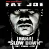 Stream & download (Ha Ha) Slow Down [feat. Young Jeezy] - Single