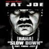 (Ha Ha) Slow Down [feat. Young Jeezy] - Single