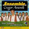 Ensemble Gregor Avsenik - Waldeinsamkeit