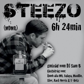 Zyklus Steezo