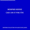Memphis Minnie & Little Walter - New Dirty Dozen