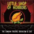 Prologue "Little Shop Of Horrors"