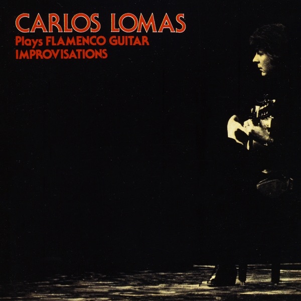 Flamenco Guitar Improvisations
