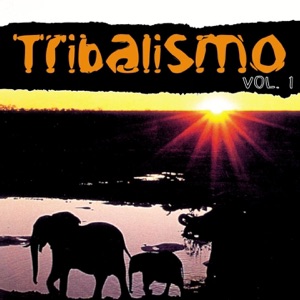 Tribal Connections (underground mix)